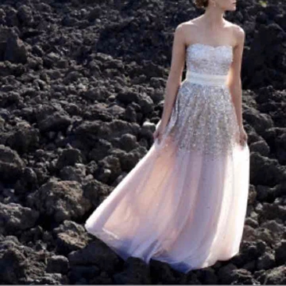 BHLDN Isadora Wedding Gown / Dress Rachel Gilbert